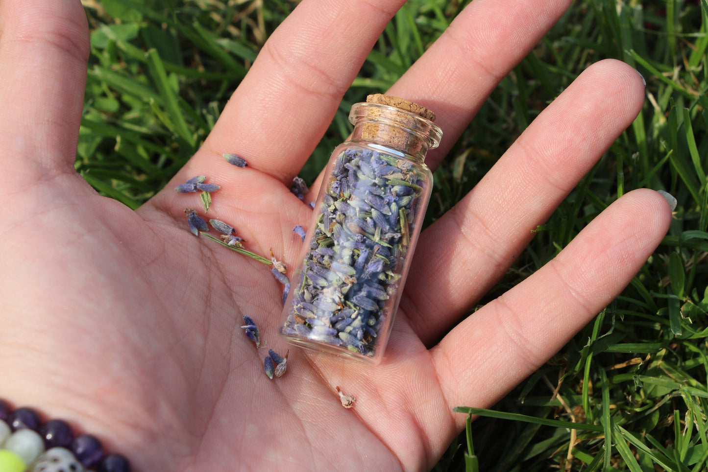 Lavender Herb Jar