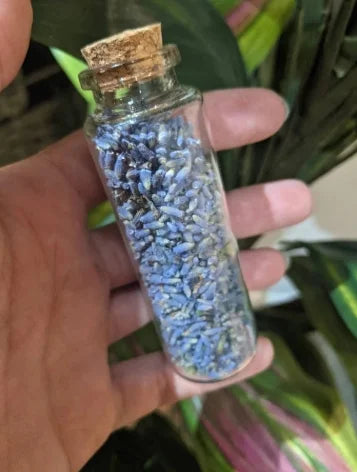 Lavender Herb Jar